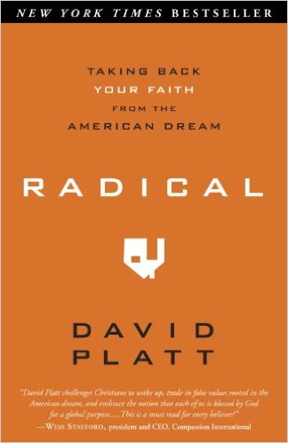 Radical: Taking Back Your Faith from the American Dream by David Platt Book Review | Trés Belle